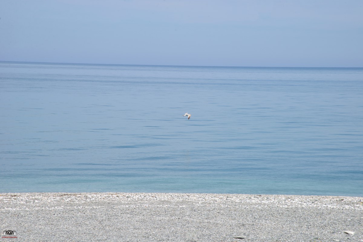 Ενοικιαζόμενα Δωμάτια Ζιούρκας 10
